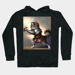 Cat with swords-Brave cat-Cats in Medieval times . Hoodie